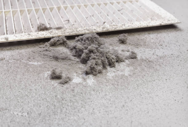 Best HVAC Duct Inspection Services  in Los Fresnos, TX