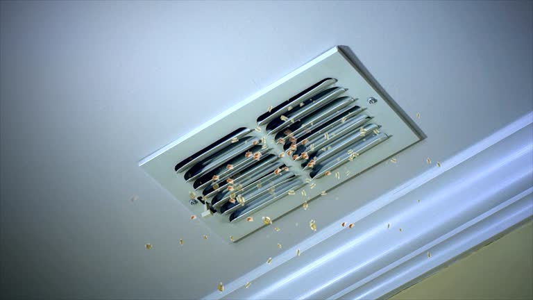 Best Affordable HVAC Duct Cleaning  in Los Fresnos, TX