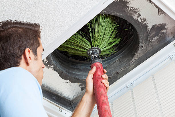 Best Home Air Vent Cleaning  in Los Fresnos, TX