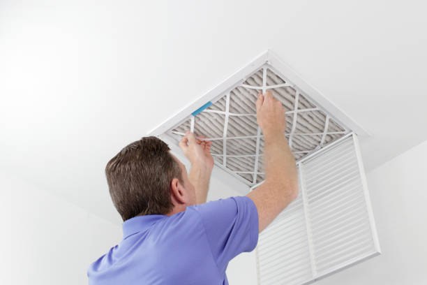 Best Ductwork Cleaning Services  in Los Fresnos, TX